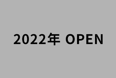 2020年OPEN