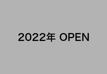 2020年OPEN